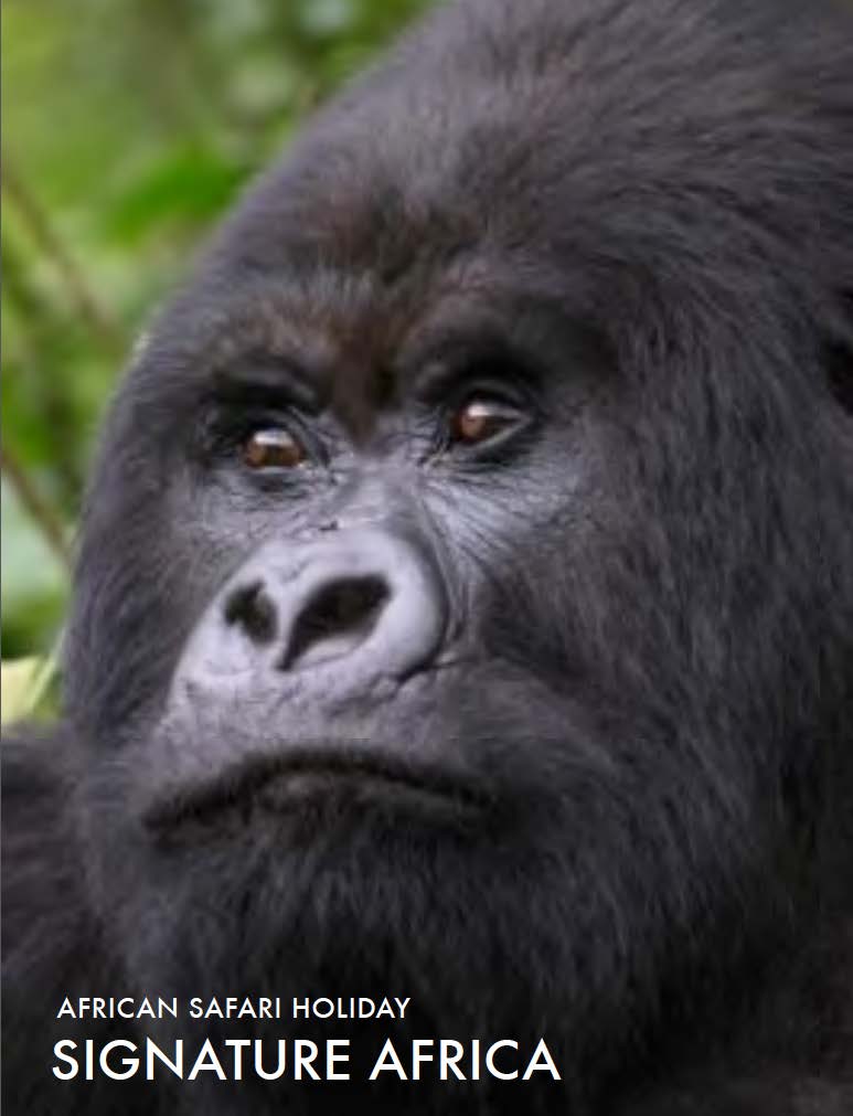 featured-african-safari-tour-2014-signature-africa