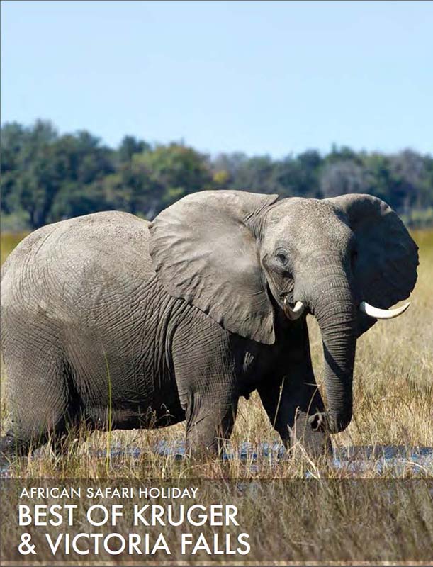 featured-african-safari-tour-best-of-kruger-and-victoria-falls