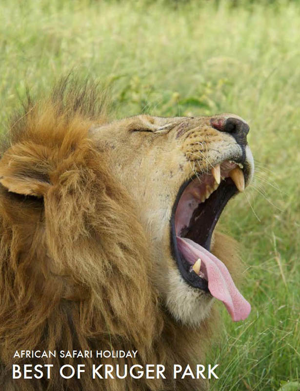 featured-african-safari-tour-best-of-kruger-fly-in