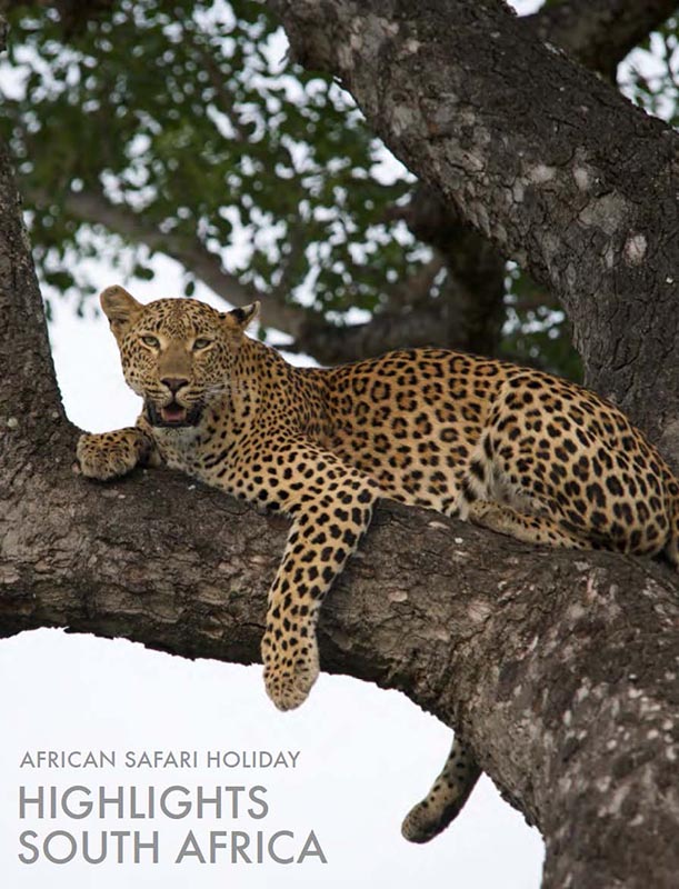 featured-african-safari-tour-highlights-south-africa