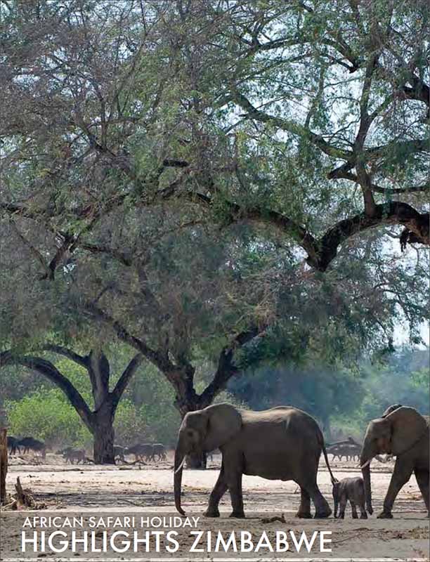 featured-african-safari-tour-highlights-zimbabwe