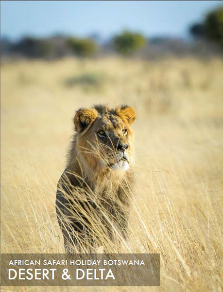 featured-african-safari-tour-kalahari-and-okavango-delta