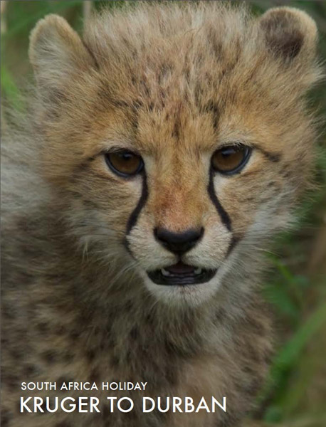 featured-african-safari-tour-kruger-to-durban