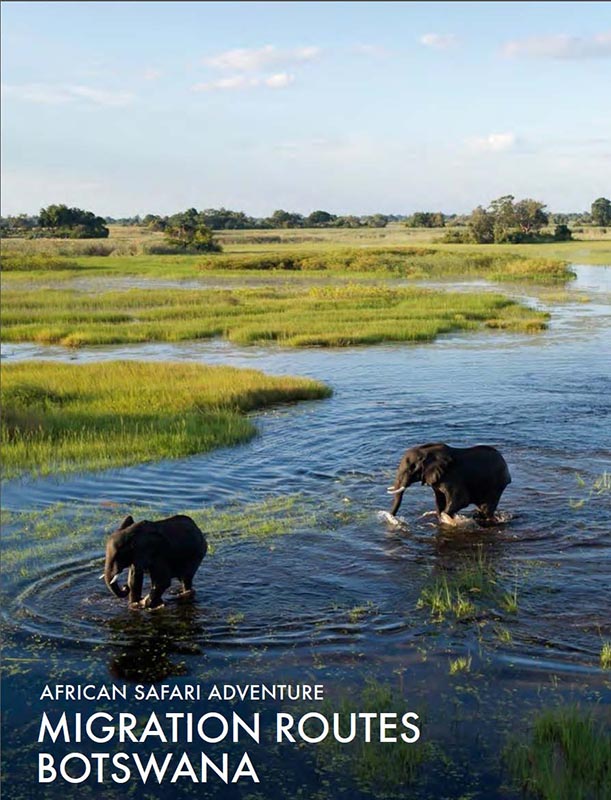 featured-african-safari-tour-migration-routes-botswana