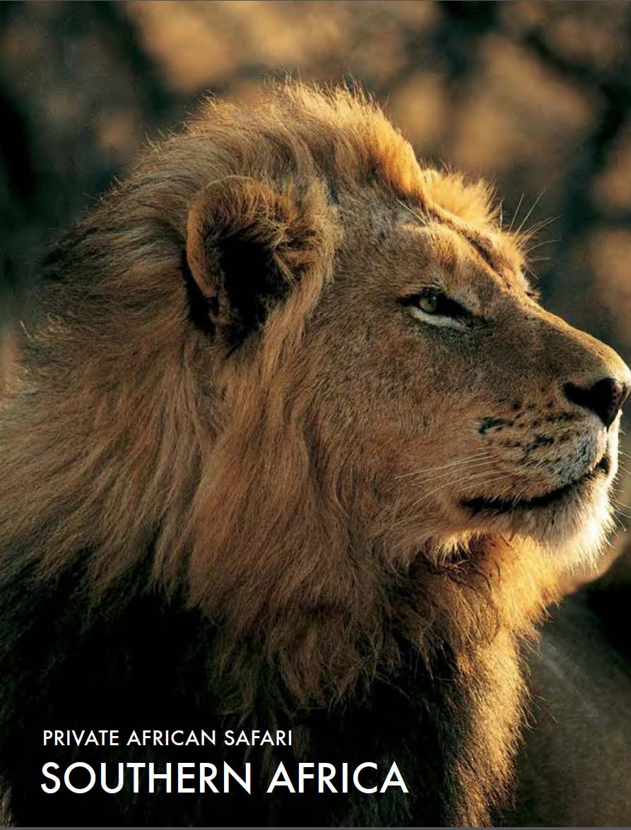 featured-african-safari-tour-private-southern-africa