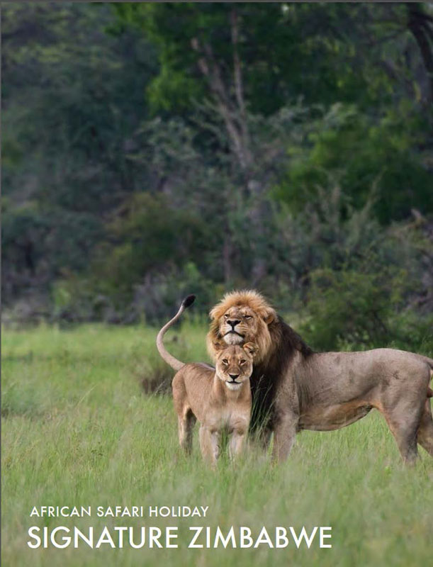 featured-african-safari-tour-signature-zimbabwe