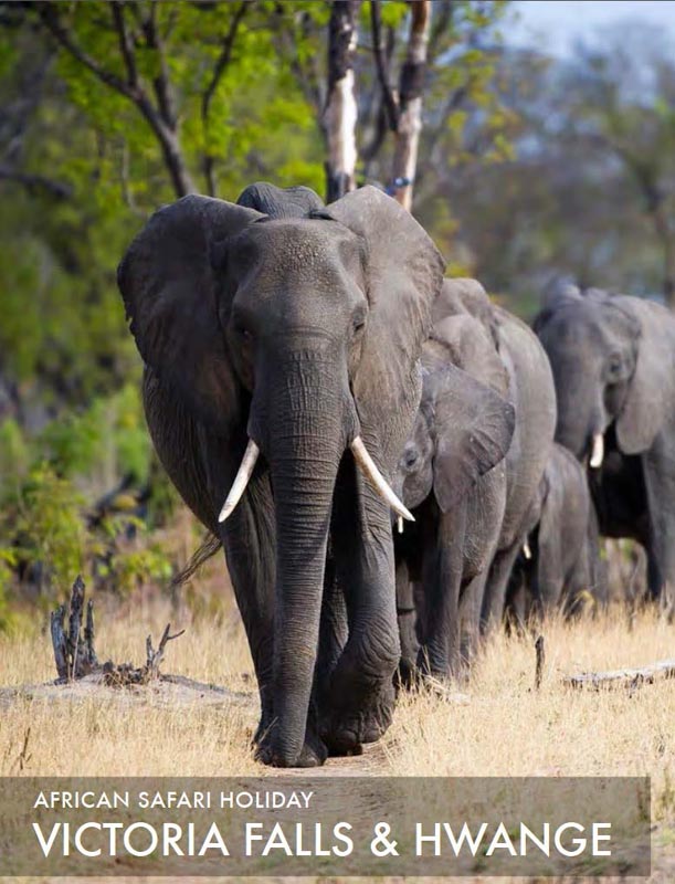 featured-african-safari-tour-victoria-falls-and-hwange