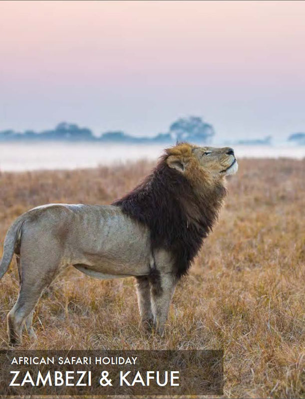 featured-african-safari-tour-zambezi-and-kafue