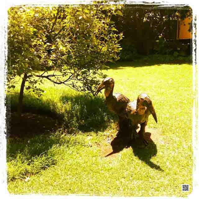 garden-with-instagram