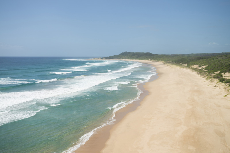 get-top-african-safari-extensions-in-south-africa