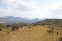 horse photography course safari weekend south africa