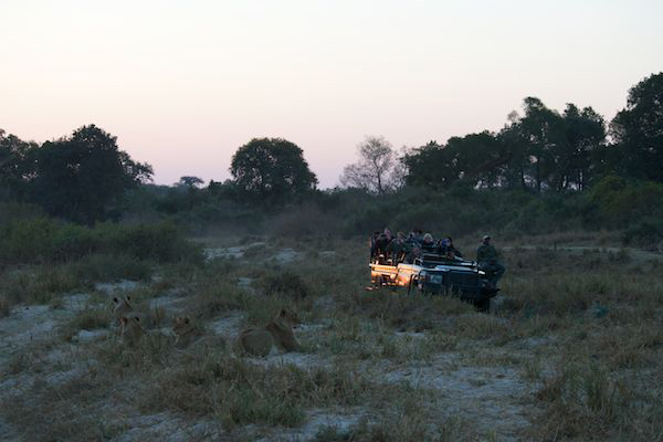 how-to-make-sure-you-can-go-off-road-on-safari