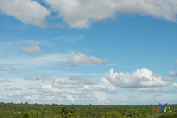 innovation something new leadership photography