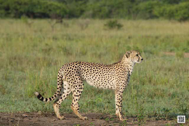 innovative leadership photographic safaris training Kenya south africa accelerate business