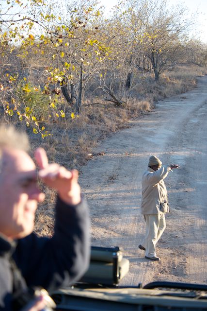 innovative leadership photographic safaris training Kenya south africa innovative jobs