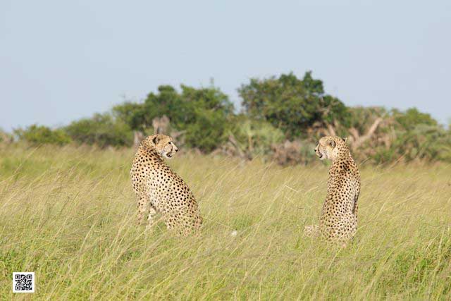innovative leadership photographic safaris training Kenya south africa visualize