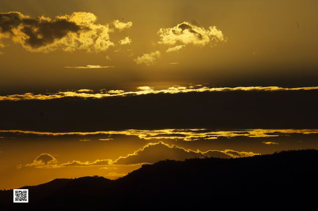 learn from facebook for leadership training photo safari