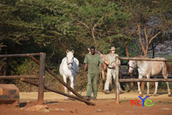 people horse photography course safari south africa