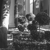 photo apps photography course safari garden.jpg