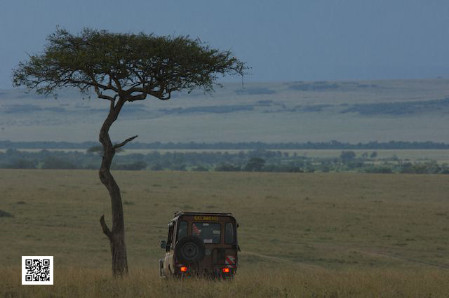 photographic safaris kenya 4x4 safari vehicle