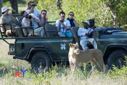 photographic safaris kenya south africa 7 things to think of