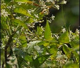 photographic safaris kenya south africa health