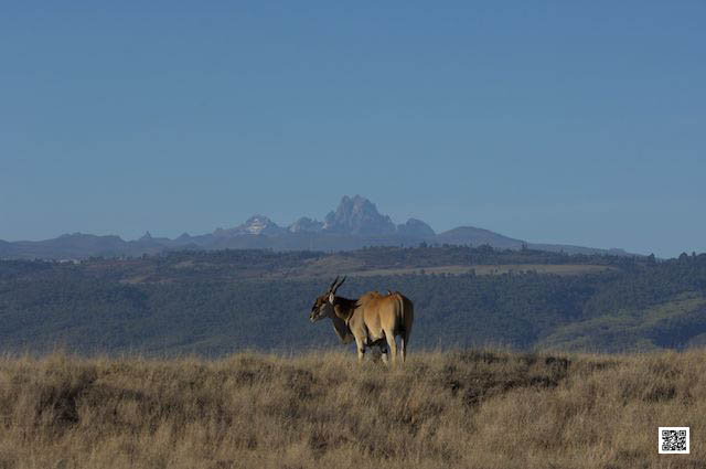 photographic safaris south Africa Kenya Botswana Tanzania Namibia 12