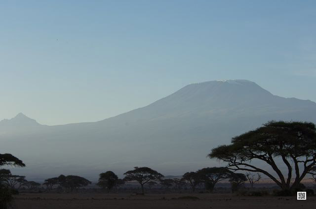photographic safaris south Africa Kenya Botswana Tanzania Namibia 14