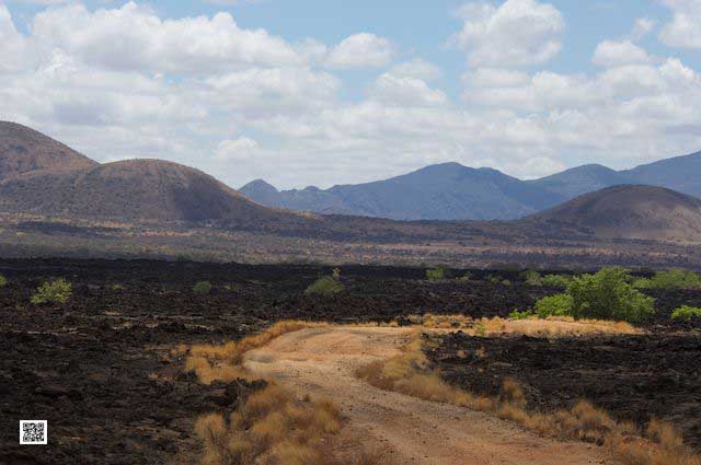photographic safaris south Africa Kenya Botswana Tanzania Namibia 15