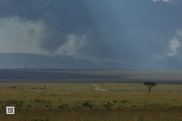 photographic safaris south Africa Kenya Botswana Tanzania Namibia 2