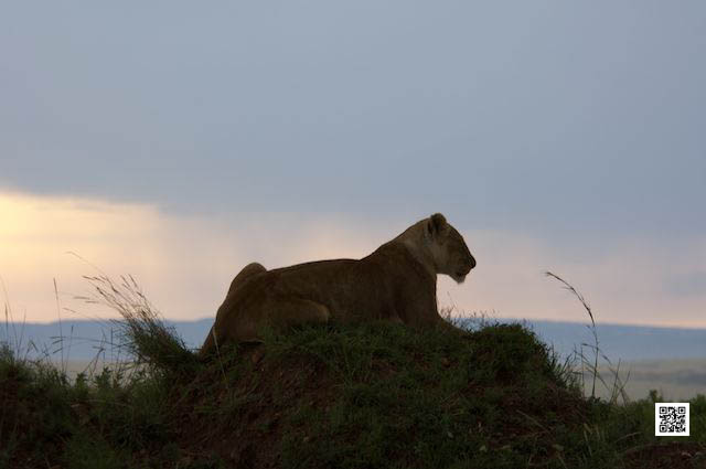 photographic safaris south Africa Kenya Botswana Tanzania Namibia 3