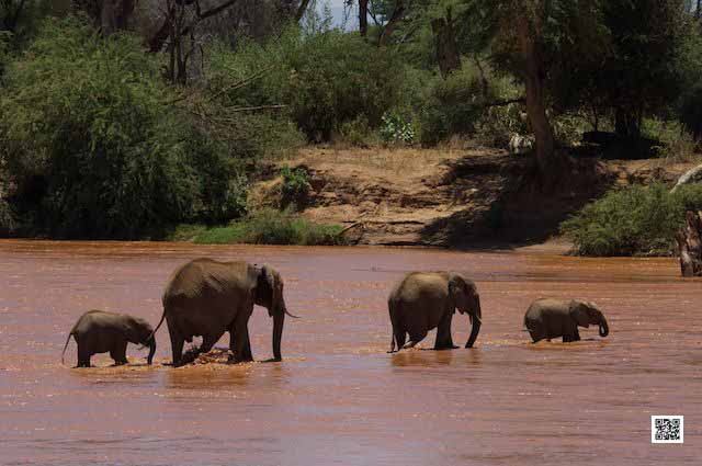 photographic safaris south Africa Kenya Botswana Tanzania Namibia 9