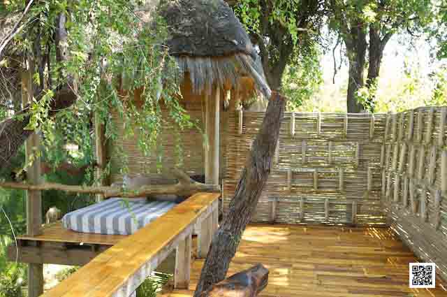 photographic safaris south Africa Kenya Botswana Tanzania Namibia bush