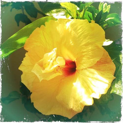 wildlife photography courses Kenya Tanzania south Africa Botswana create