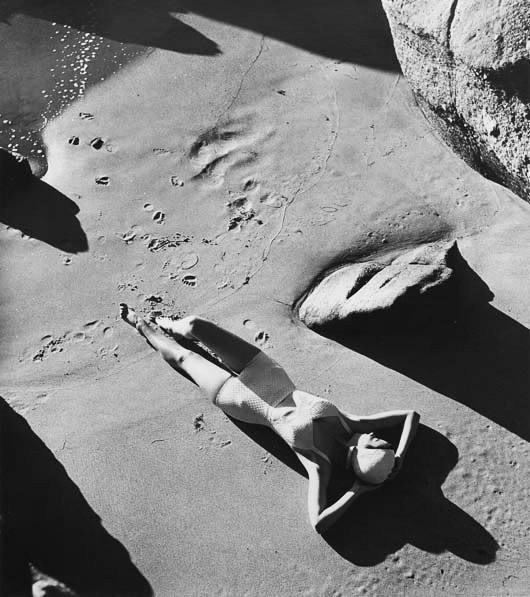 wildlife photography courses Kenya Tanzania south Africa Botswana dahl wolfe