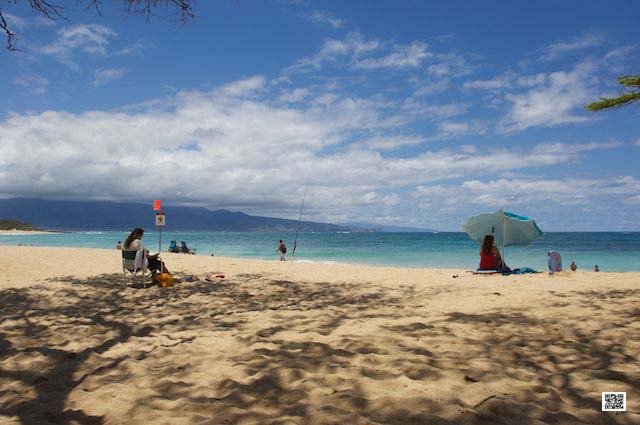 wildlife photography courses Kenya Tanzania south Africa Botswana hockney