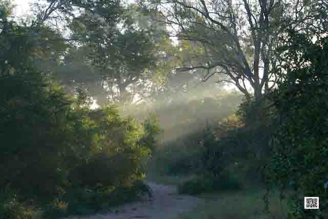 wildlife photography courses Kenya Tanzania south Africa Botswana lautner