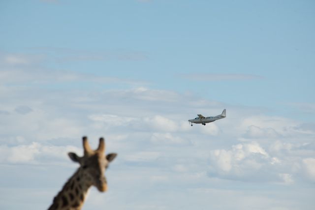 photographic safaris south Africa Kenya Botswana Tanzania Namibia mara1