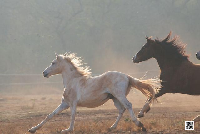 photographic safaris south Africa Kenya Botswana Tanzania Namibia memory cards