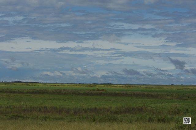 wildlife photography courses Kenya Tanzania south Africa Botswana mondrian