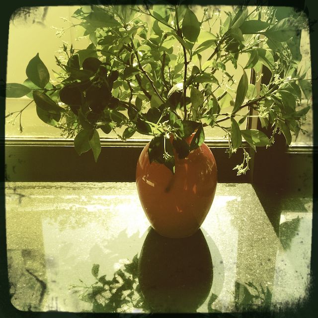 wildlife photography courses Kenya Tanzania south Africa Botswana money