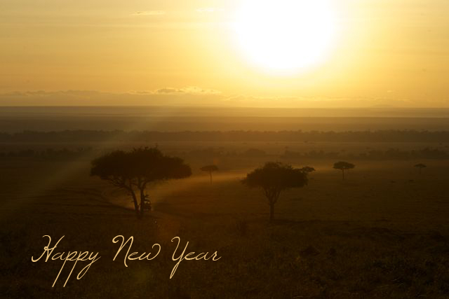 wildlife photography courses Kenya Tanzania south Africa Botswana new year 2013
