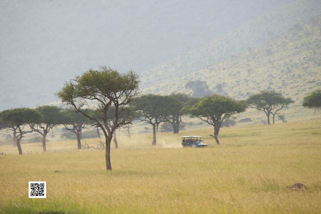 photographic safaris south africa kenya botswana tanzania namibia plan safari