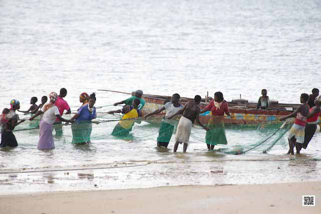 wildlife photography courses Kenya Tanzania south Africa Botswana sale