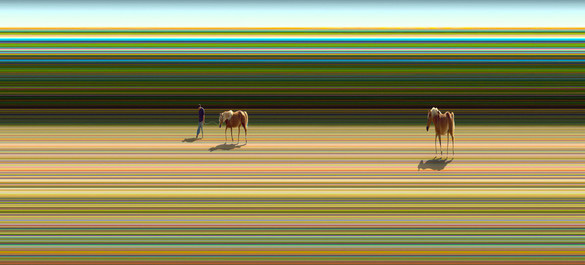 wildlife photography courses Kenya Tanzania south Africa Botswana time