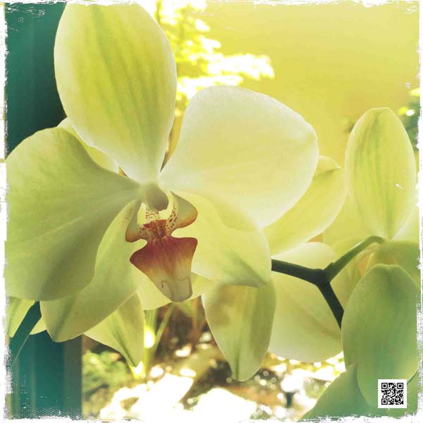 wildlife photography courses Kenya Tanzania south Africa Botswana warhol