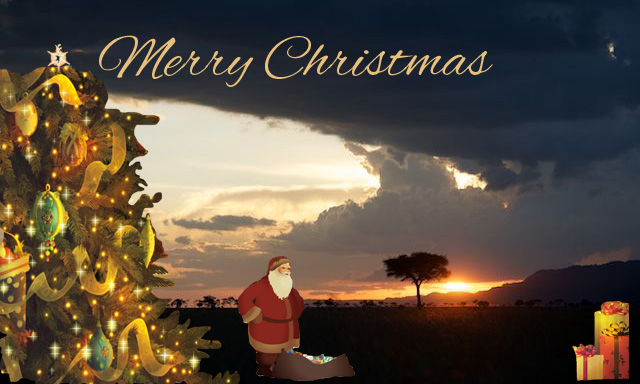 wildlife photography courses Kenya Tanzania south Africa Botswana xmas safari