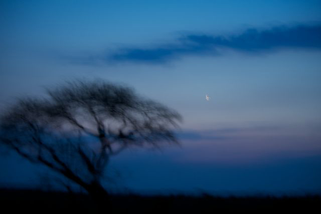 wildlife photography courses Kenya Tanzania south Africa Botswana xmas