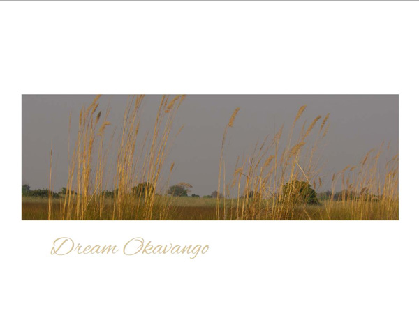 photographic-safaris-south-africa-masai-mara-kenya-botswana-tanzania-namibia-dream-okavango copy