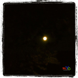 photography courses light safari south africa